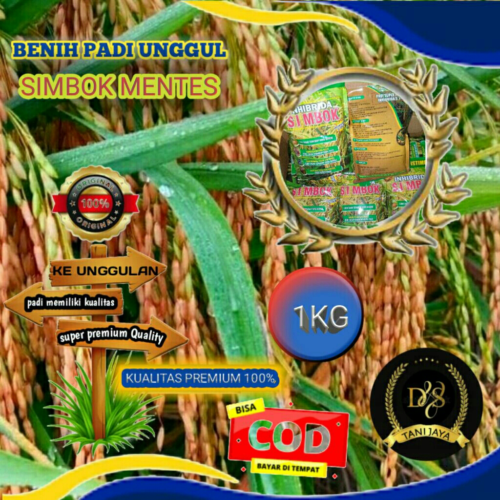 

PADI SIMBOK MENTES | 1KG