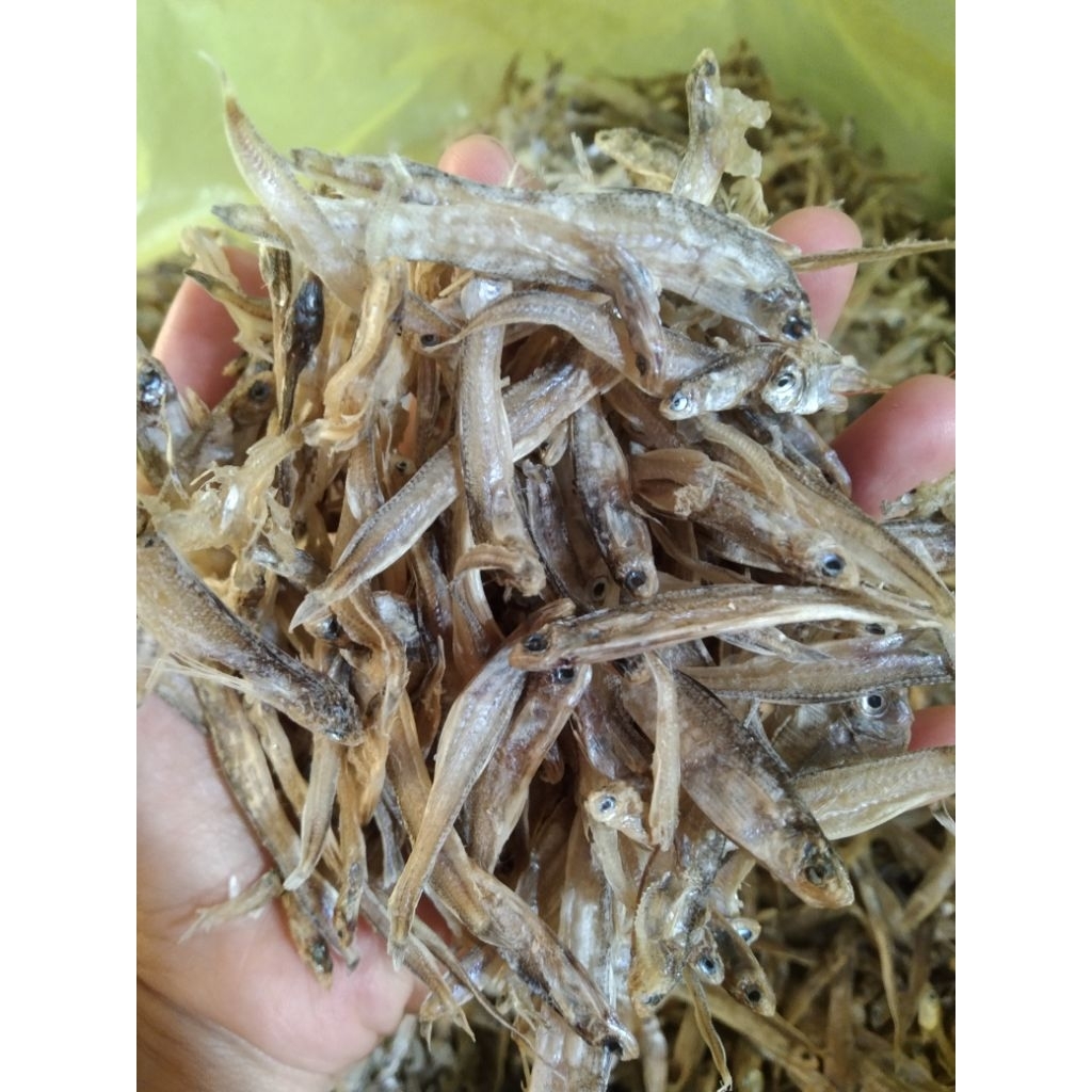 

1KG Teri Ndolo Tawar Teri Jenggot Besar Kering Gurih Lezat Banyak Manfaat