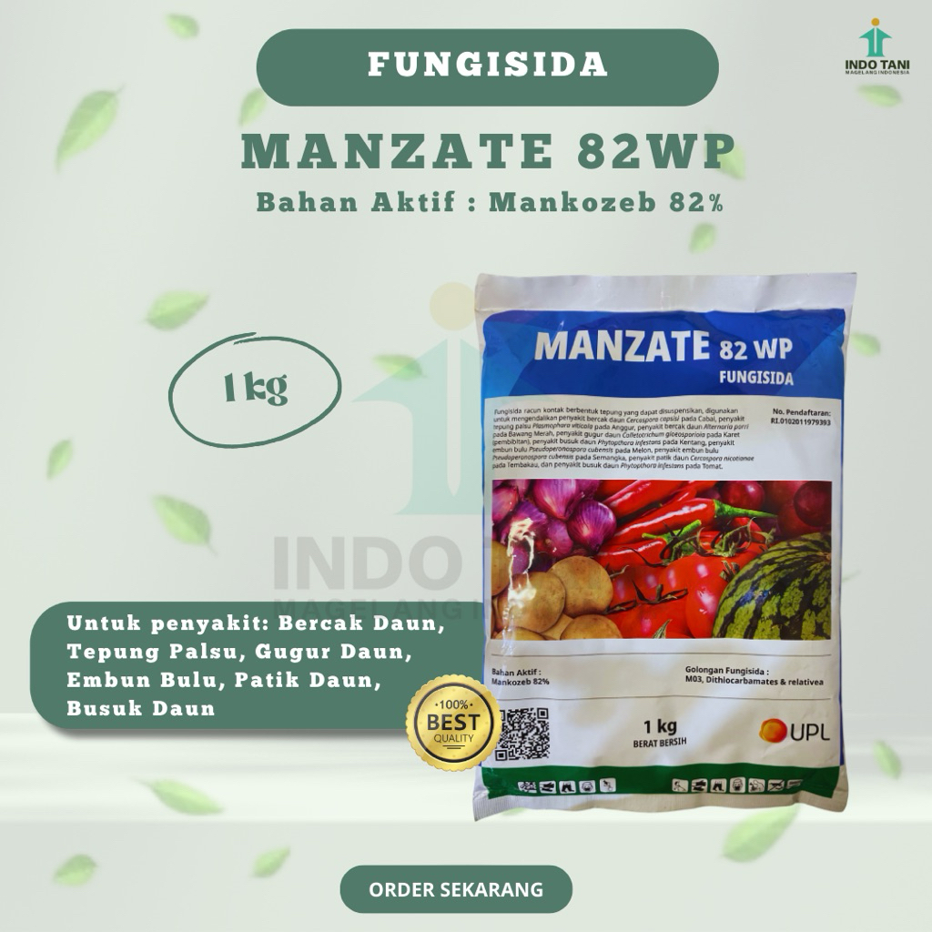FUNGISIDA MANZATE 82WP 1Kg MANKOZEB 82%