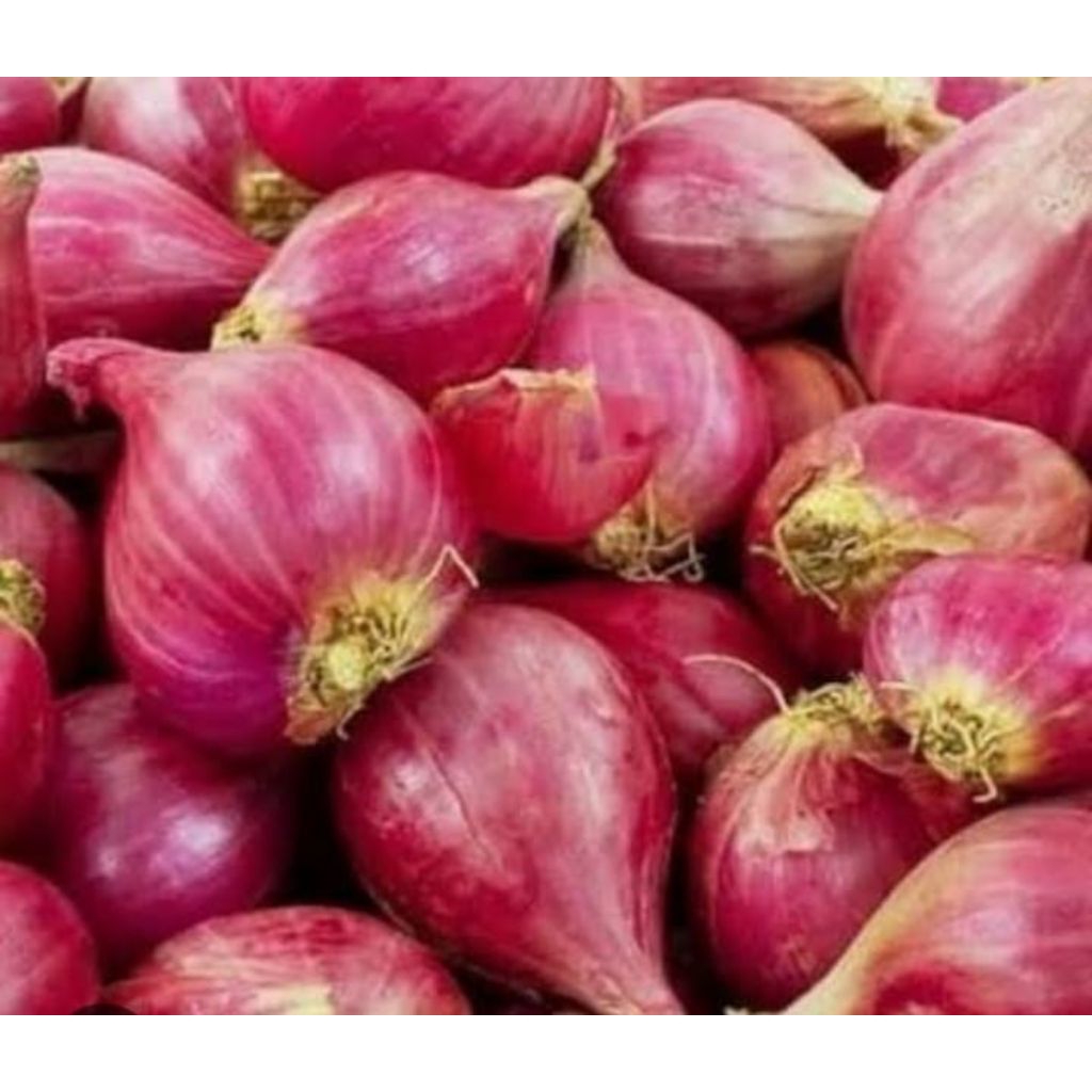 

bawang merah super premium