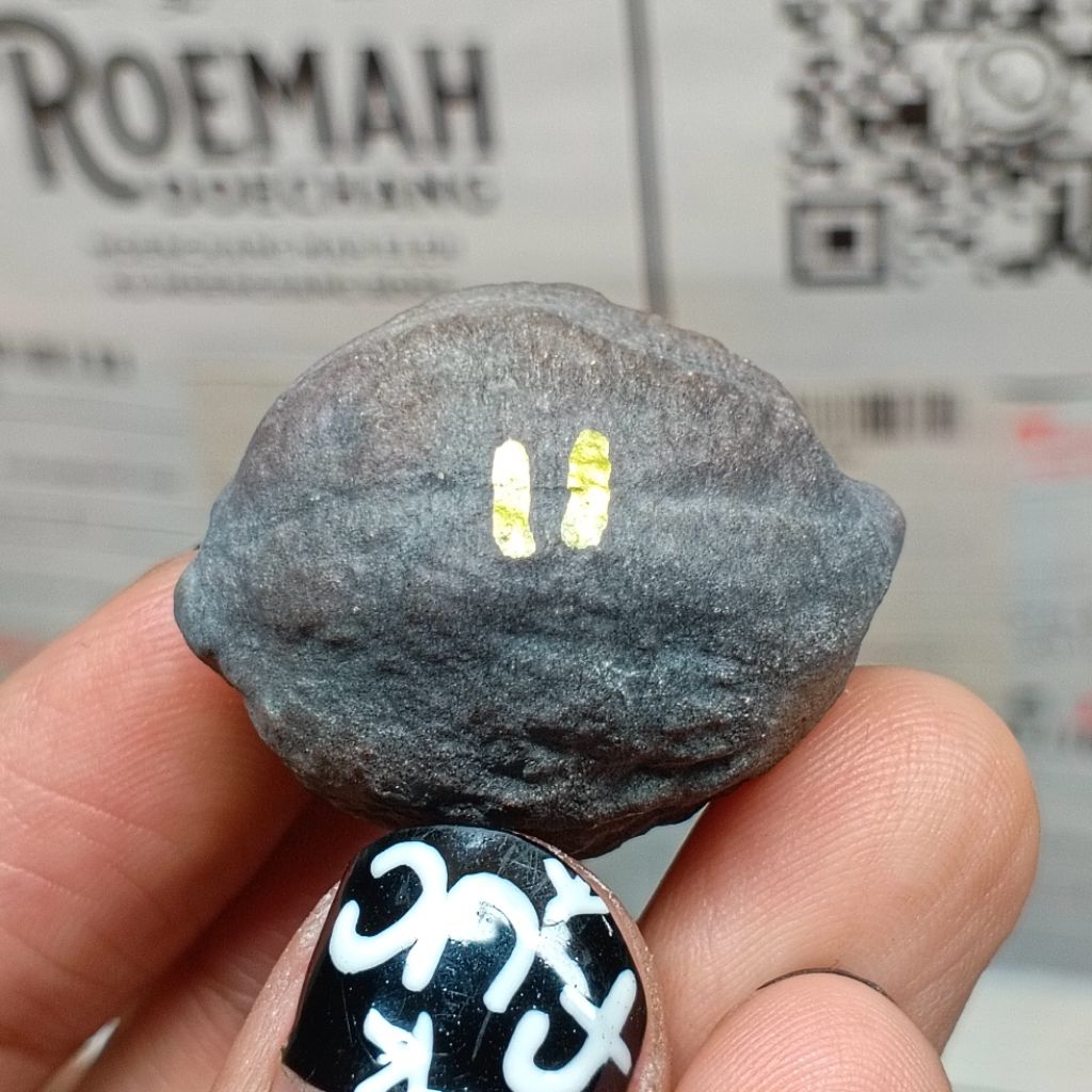 Muncang Adu Manohara Childs kode 11