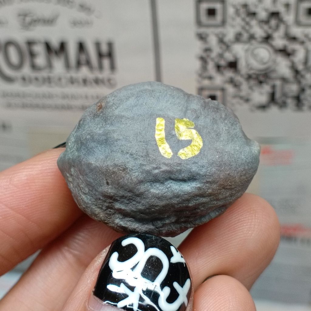 Muncang Adu Manohara Childs kode 15