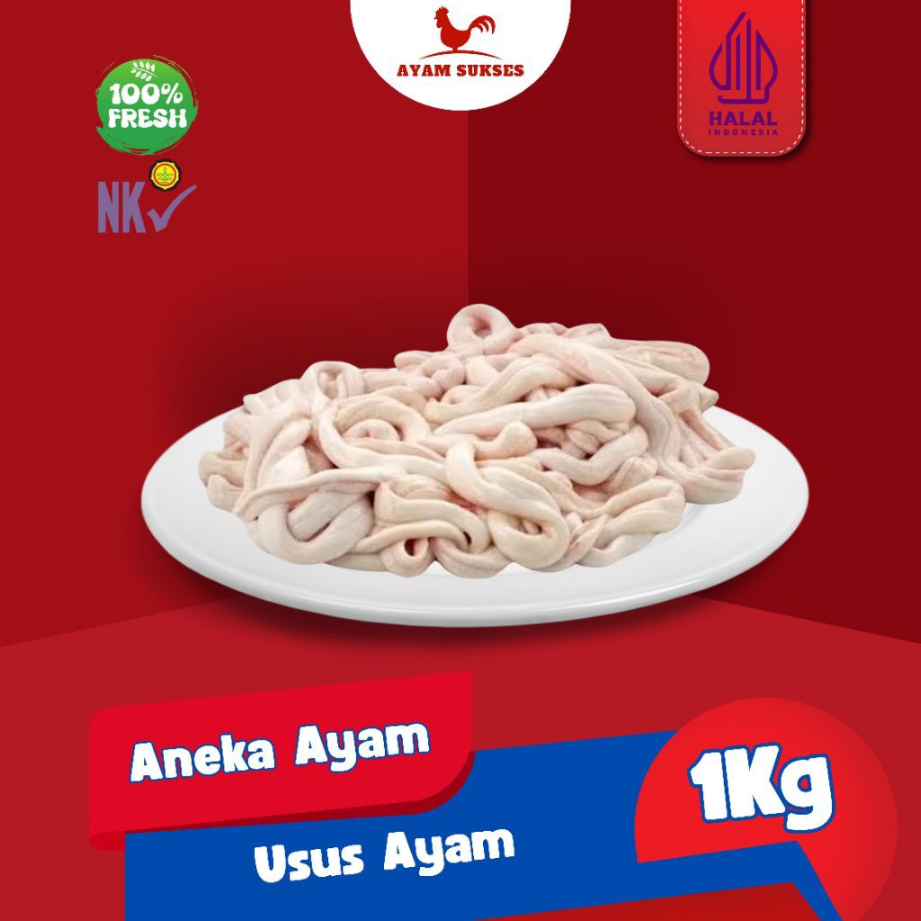

Usus Ayam Segar