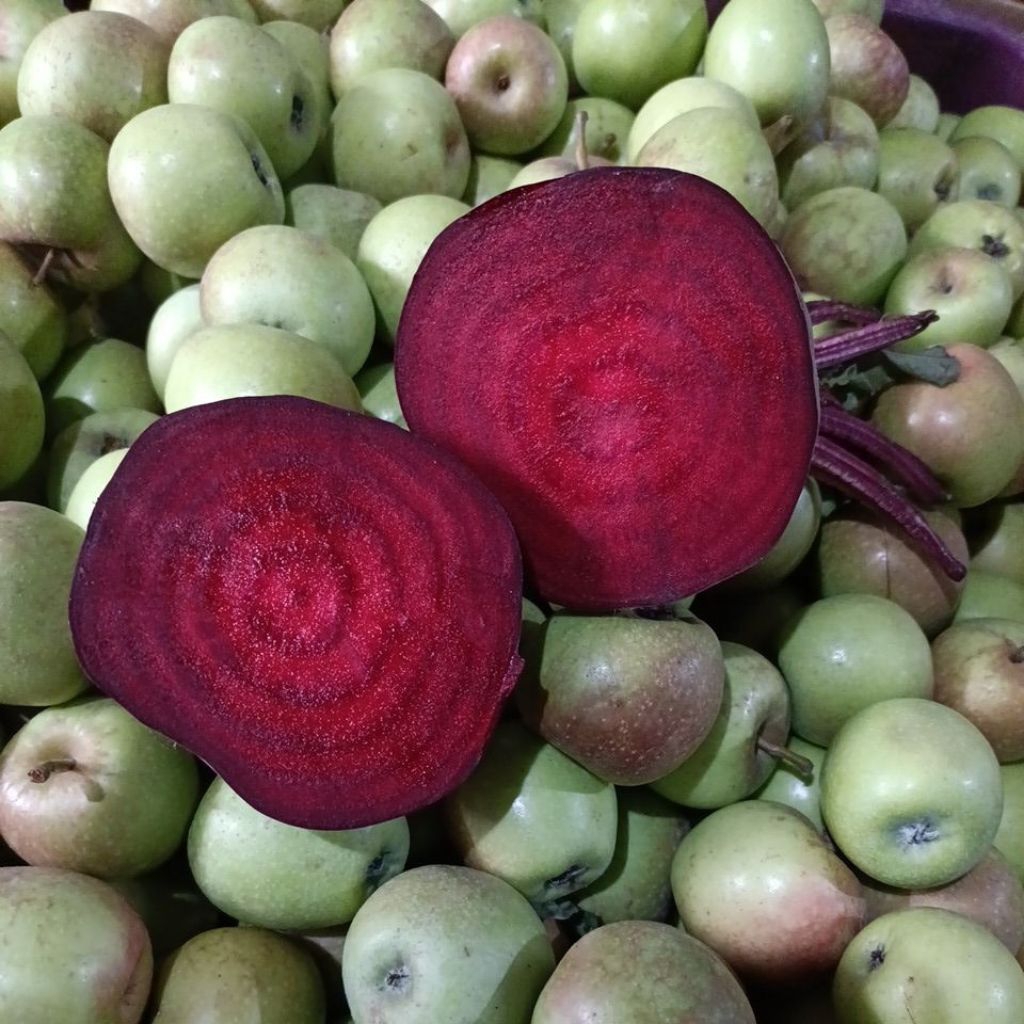 

Buah bit supermarket 1kg isi 3buah