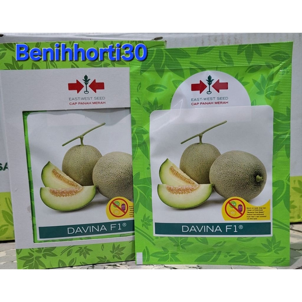 Benih Melon Davina F1 isi 500 butir