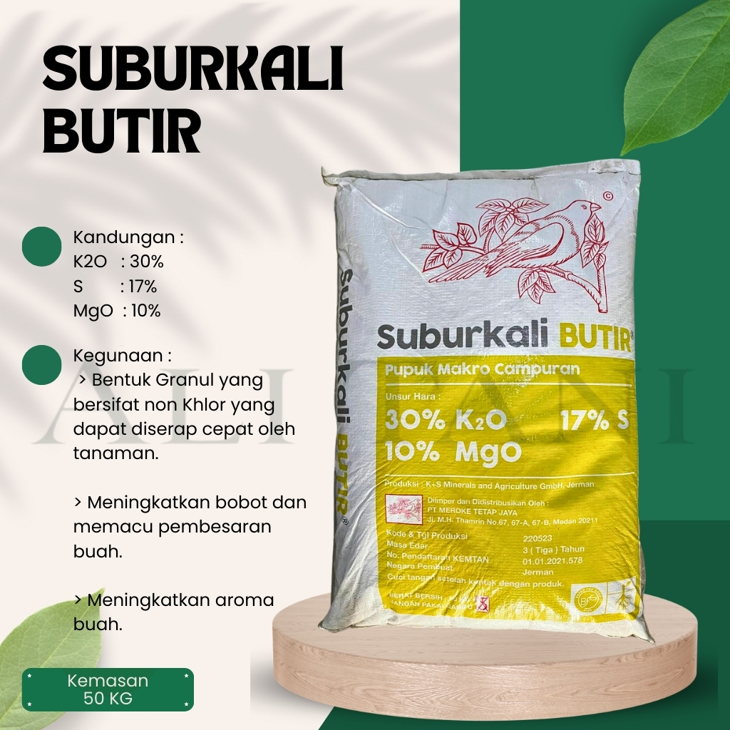 (50 KG) SUBURKALI BUTIR Pupuk Kalium/KCL non Khlor/Pembesaran Buah/Pupuk Meroke
