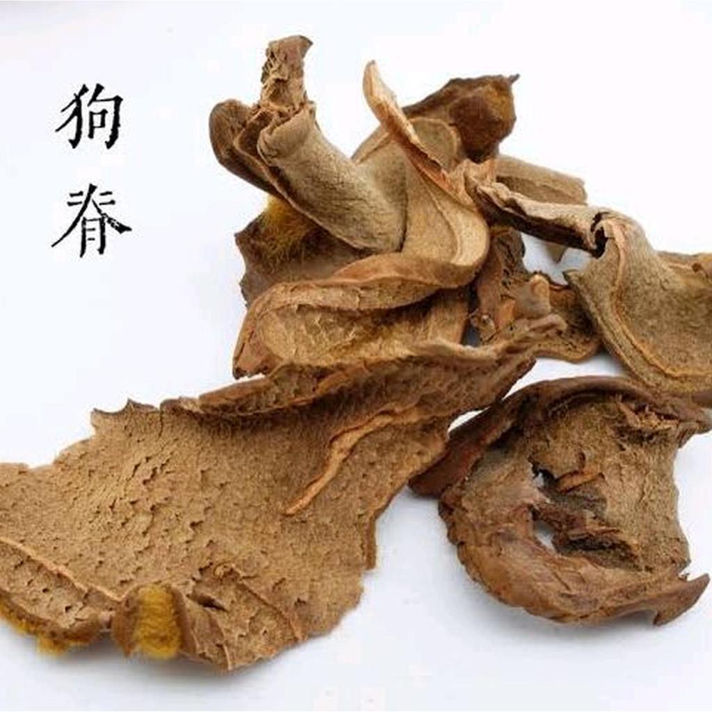 

100gr Gou Ji Premium Penawar Jambi / Rhizome of Scythian Lamb / East Asian Tree Fern Rhizome