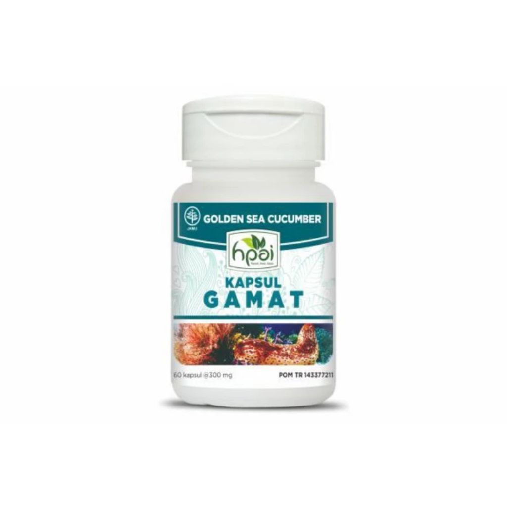Gamat kapsul HNI Original 60 k apsul