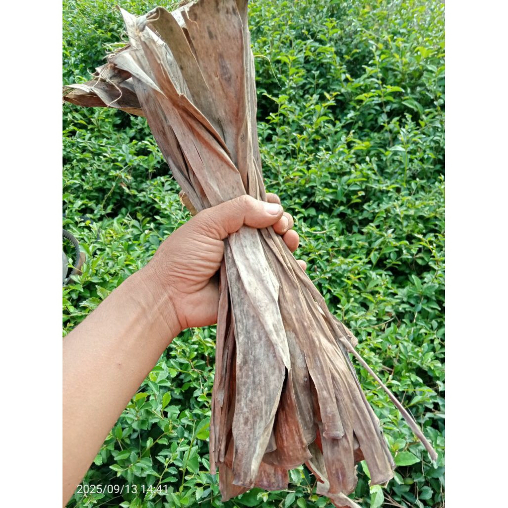 Daun pisang kering