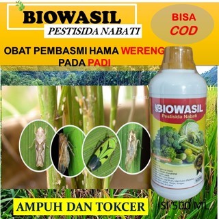 Biowasil Obat Hama Padi 500ml Organik Ampuh