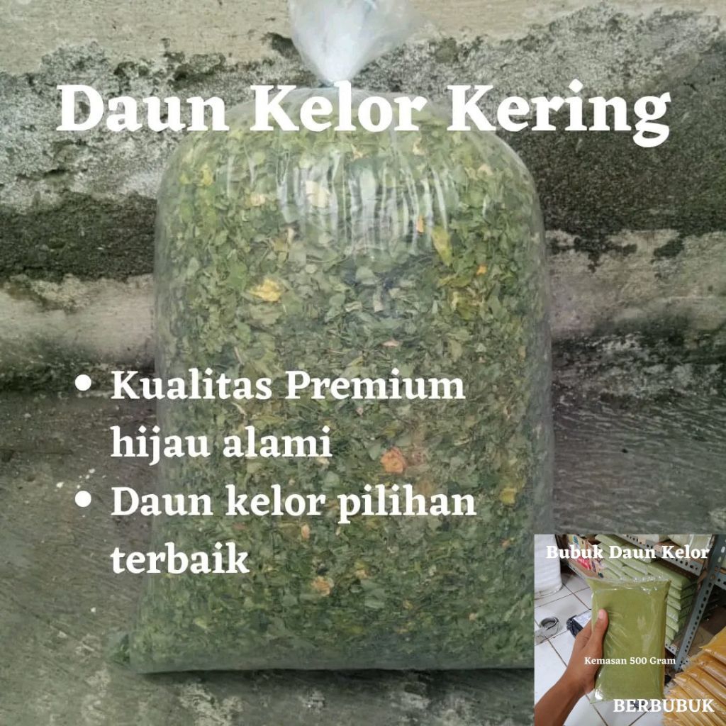 

Daun Kelor Kering 1000g | Teh Herbal Alami | Obat Tradisional Sehat