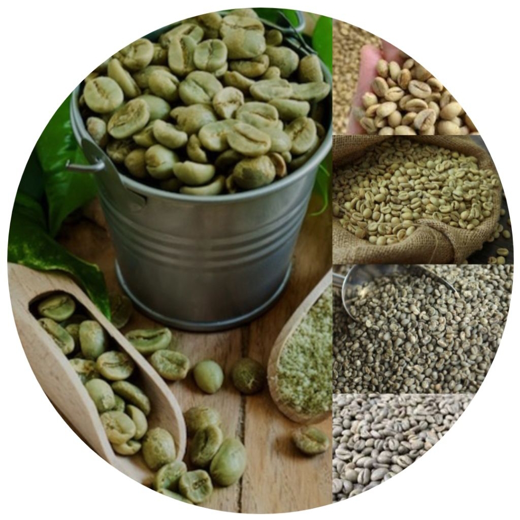 

GREEN Bean biji kopi robusta