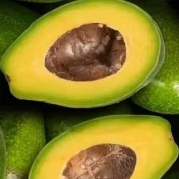 

Promo terbaik, Alpukat mentega isi 6,7,8 buah (GARANSI)