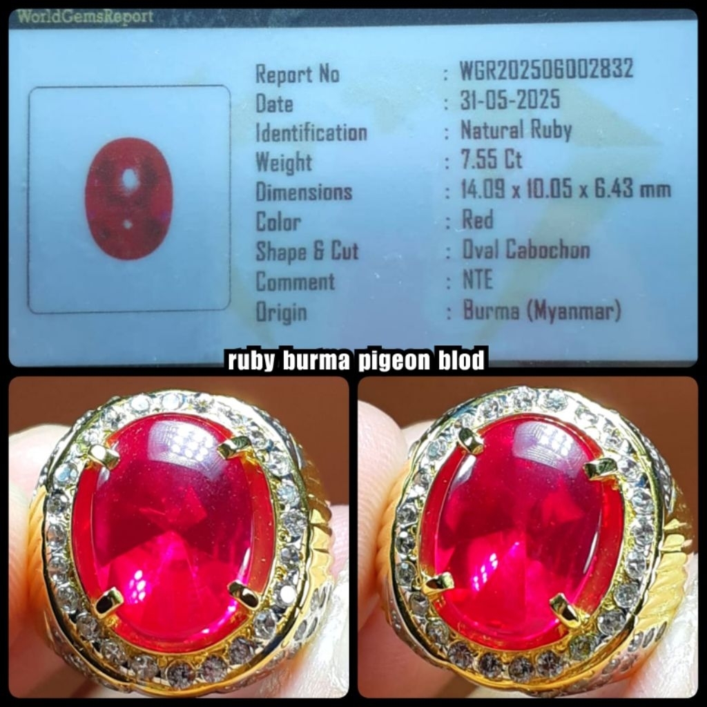 natural permata ruby burma delima boll + ring perak asli