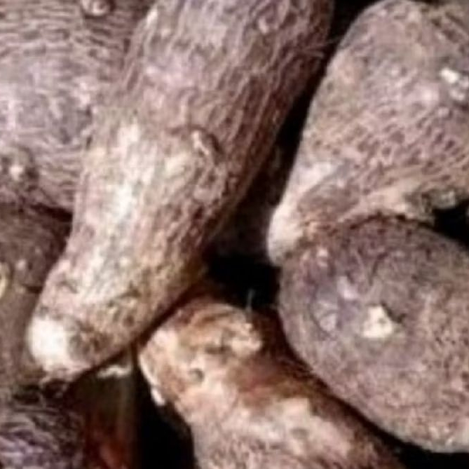 

talas kimpul super ungul 1kg