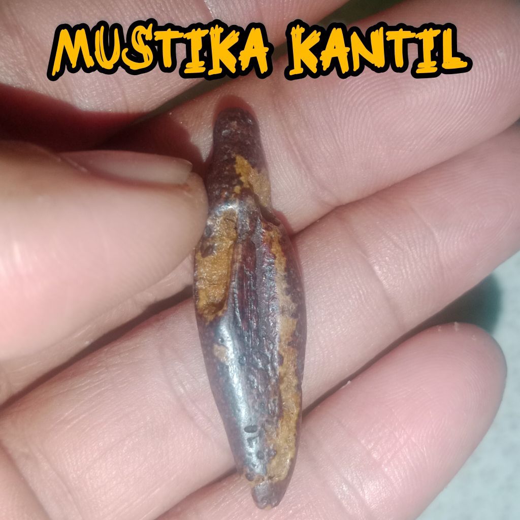 BATU MOESTIKA BUNGA KANTIL MERAH/BATU POSIL BUNGA KANTIL MERAH