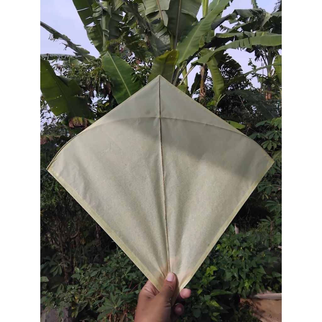 LAYANGAN SEOT POLOS MURAH