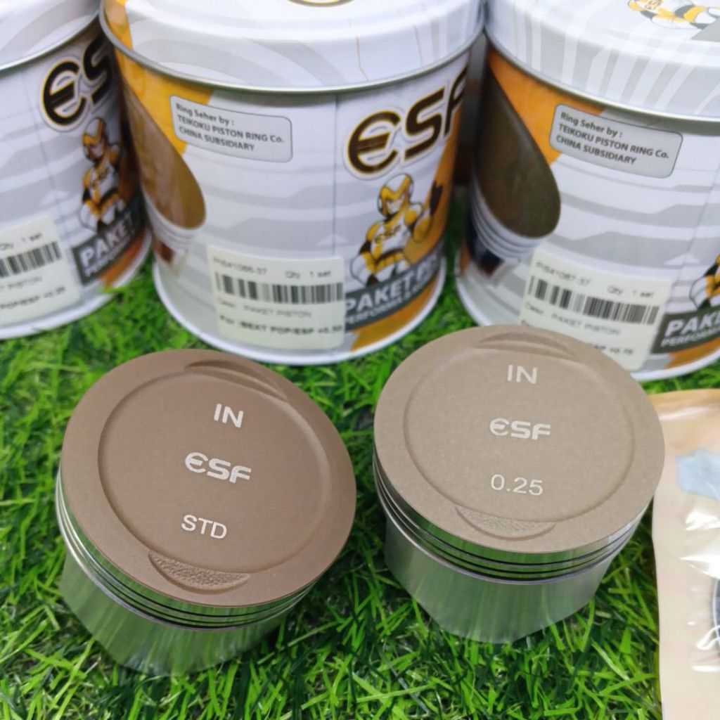 PISTON KIT SEHER KIT BEAT POP ESF