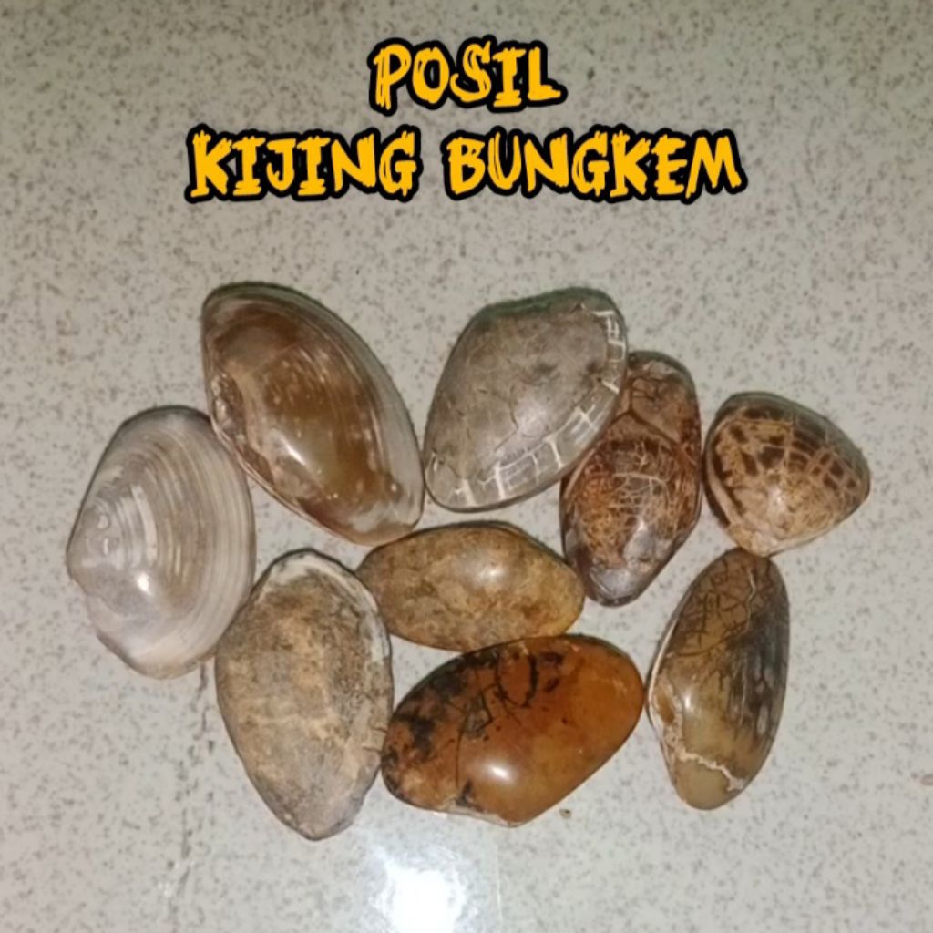 BATU POSIL KIJING BUNGKEM CIREBON