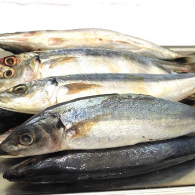 

Ikan kembung layang (1kg) isi 4