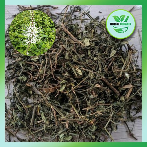 

Daun Kumis Kucing kering 500 gram obat herbal alami HERBAL ORGANIK