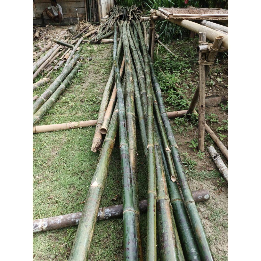 bambu panjang 2 meter