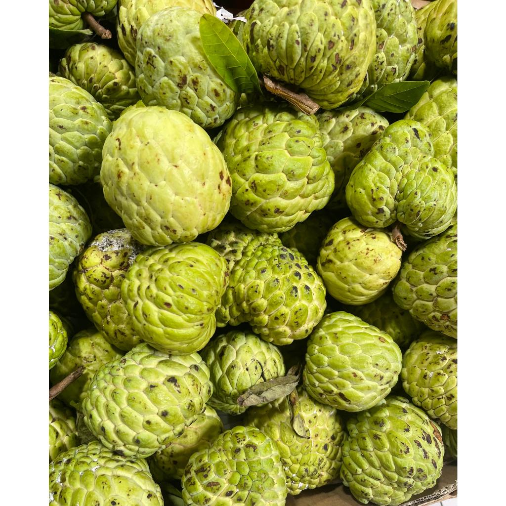 

Srikaya lokal baru musim 1 kg stok terbatas