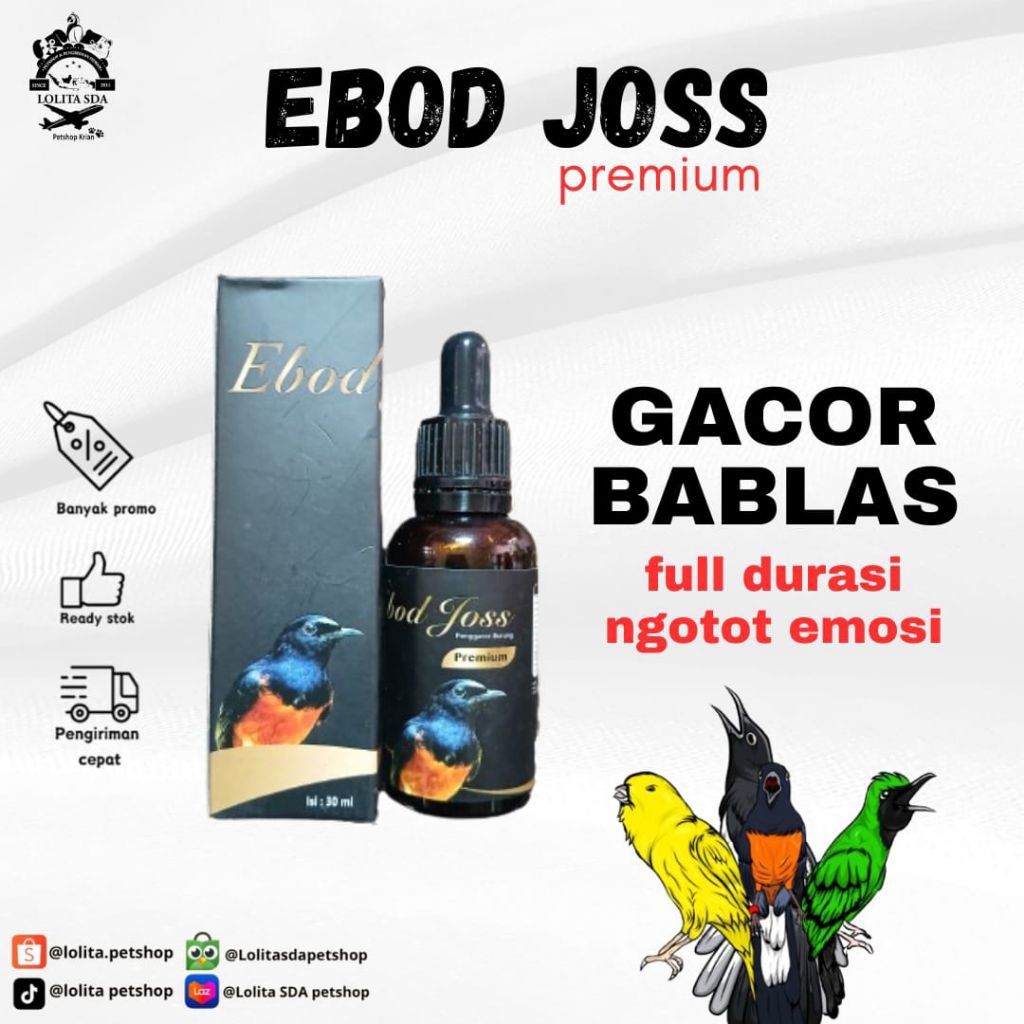 ebod joss premium penggacor burung