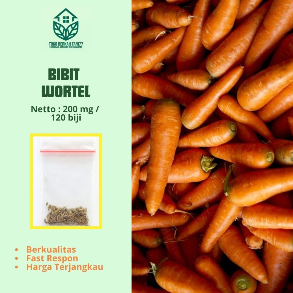 Benih Wortel Bibit Wortel Benih Bibit Sayuran Berkualitas Tinggi