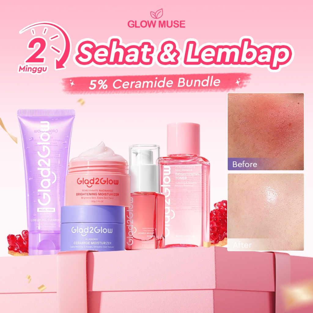 SPECIAL BUNDLE 5 in1 Glad2Glow 5pcs Paket Skincare Moisturizer Serum Clay Mask Face  Wash Toner-ACNE