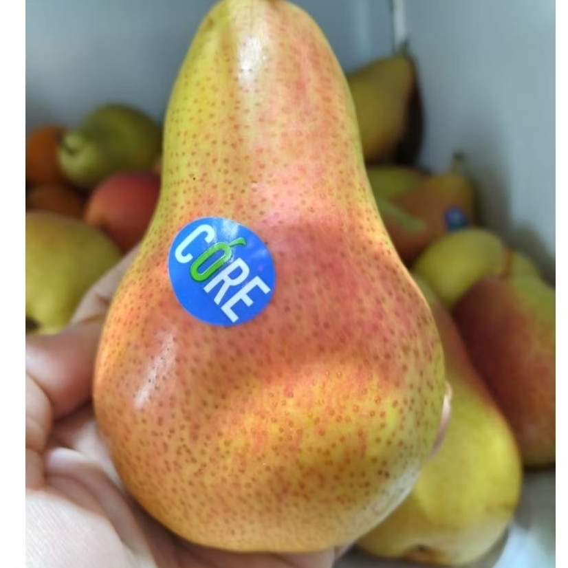 Pir Hijau Forelle 1kg - Pir manis susu garing