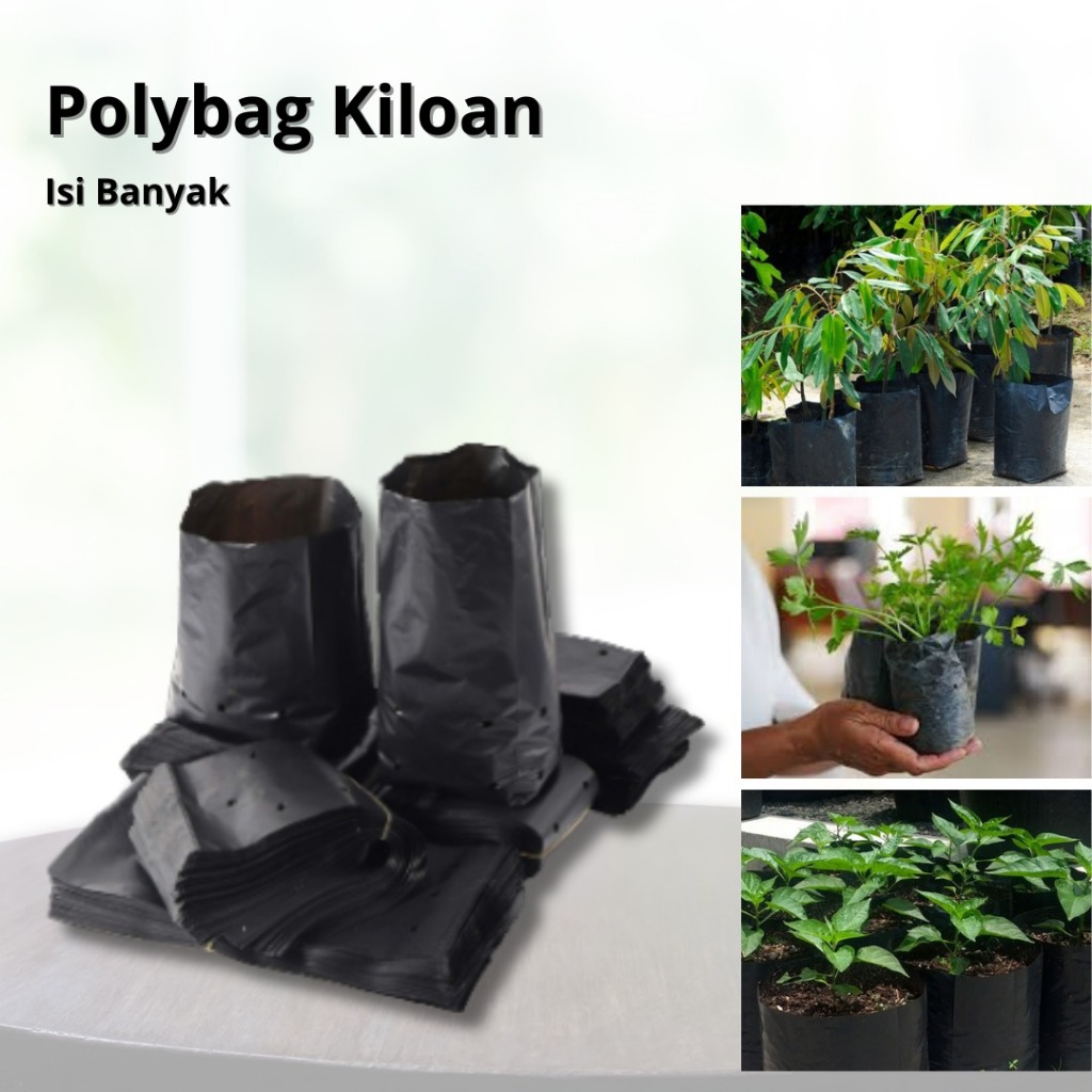 Polybag Kiloan Murah Isi Banyak-Polybag 1kg Isi Banyak-Polybag Tanaman Kiloan Murah