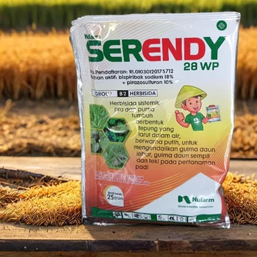Serendy 28WP | SERENDY | SERENDY HERBISIDA | SERENDY RACUN RUMPUT | SERENDY 25 GRAM