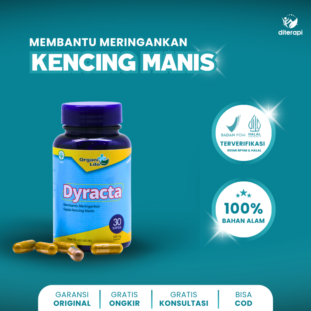 DYRACTA ( 60 KAPSUL) / KENCING MANIS / DIABETES