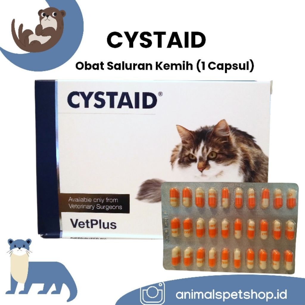 Cystaid 1 Kapsul (Obat Saluran Kemih) kucing
