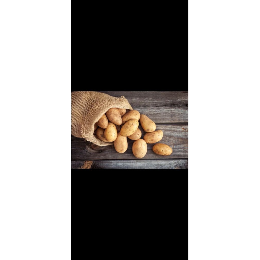 

Kentang DN - Kentang Fresh Dieng 1kg Siap Masak Packing Aman Kualitas Premium Asli Segar Gurih