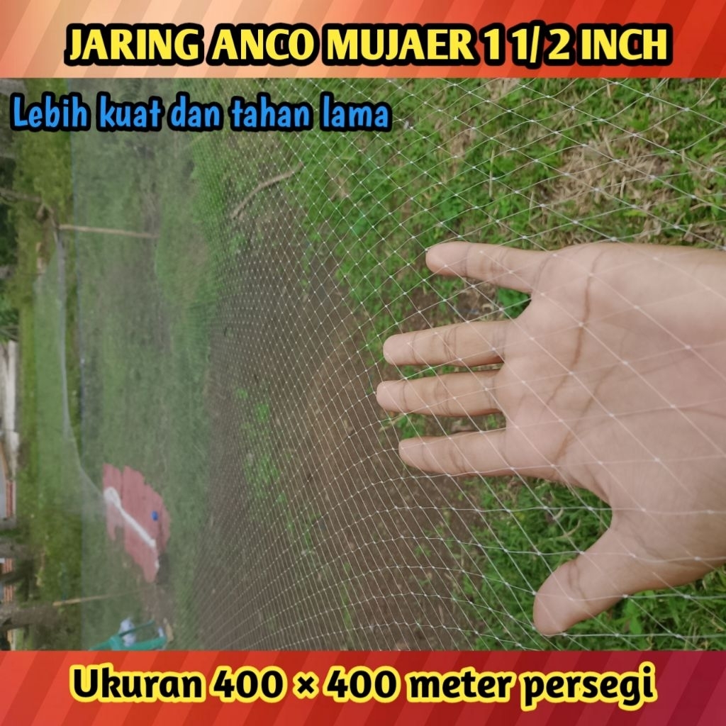 jaring Anco jumbo ukuran 400×400 lubang 1 1 /2 inch siap pakai buat nila dan mujaer , branjang, tang