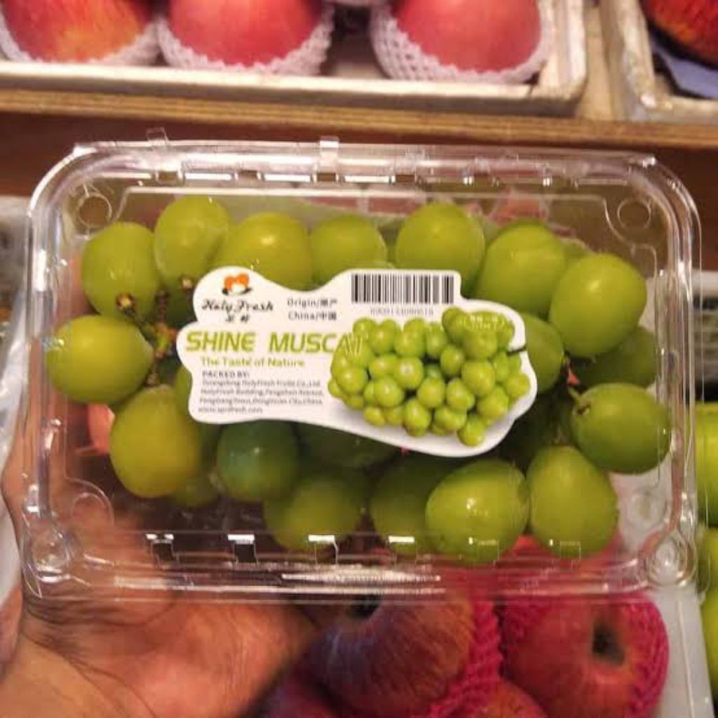 

Anggur Shine Muscat 500gr