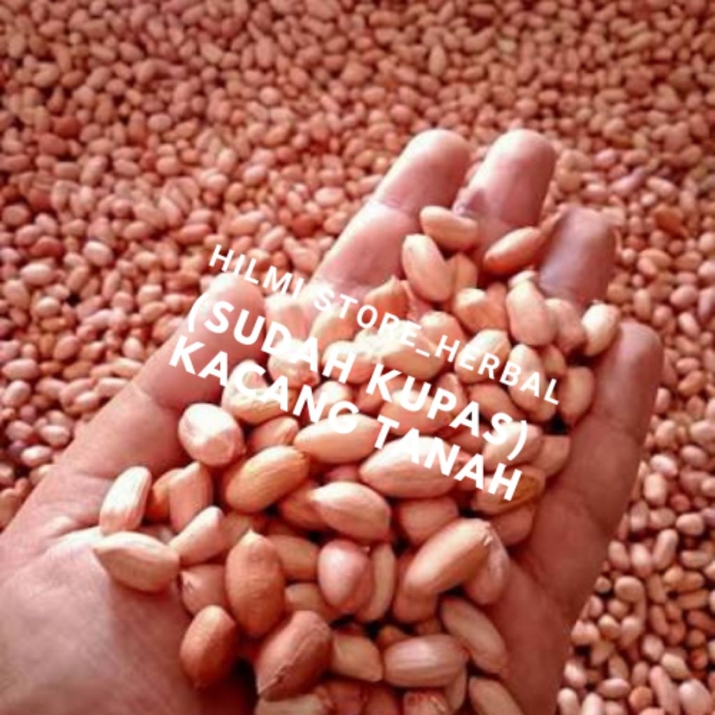 kacang tanah segar(sudah kupas)kacang tanah jumbo berat 1 kg