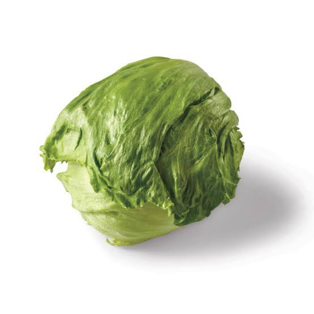 Sayuran selada iceberg head lettuce / sayuran selada / lettuce head