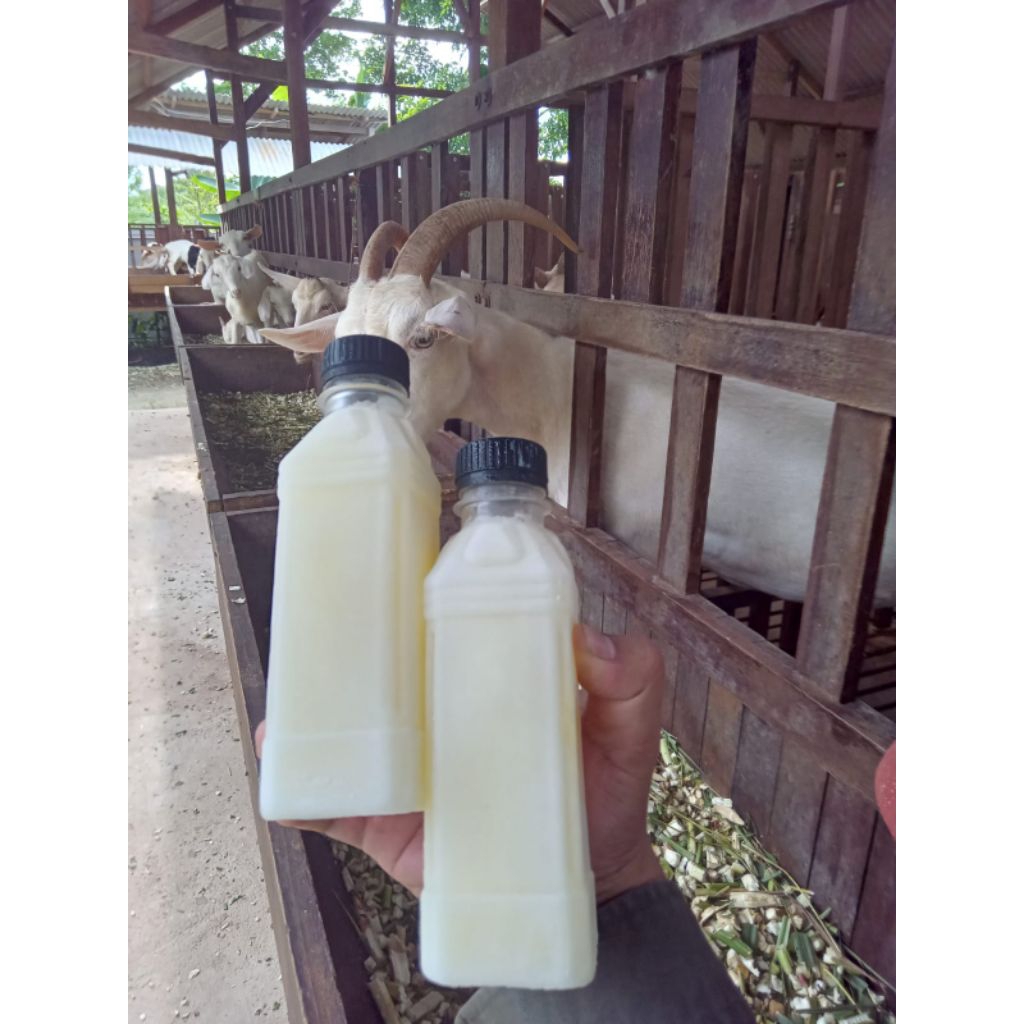 Susu Kambing Etawa Cair Murni Asli 250ml
