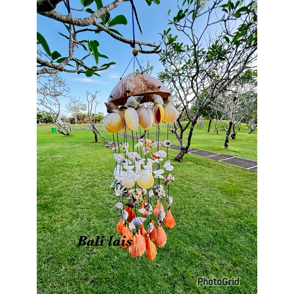 lonceng angin Kerang/lonceng angin/windchime/dekorasi taman/lonceng angin batok