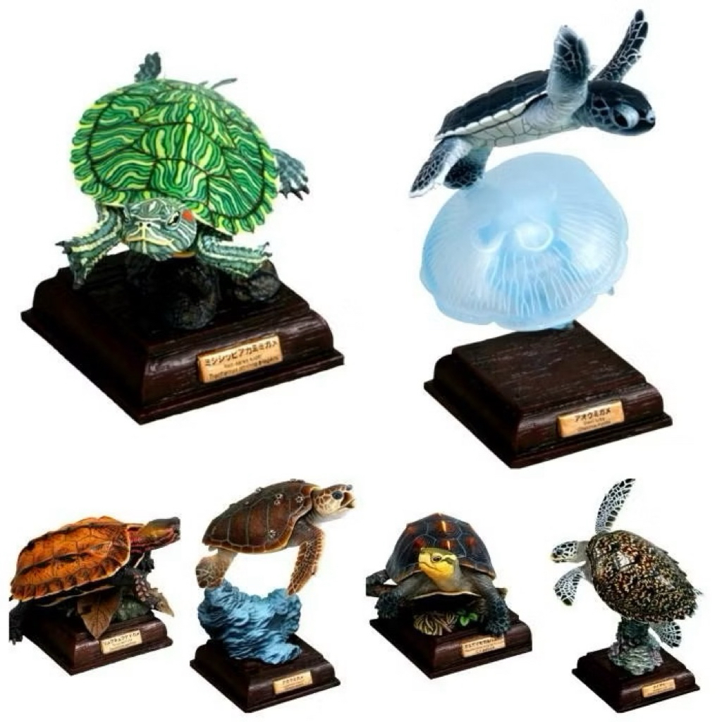 NTC Japanese turtle set lengkap isi 6 - kura brazil penyu hijau baby tukik sisik ocadia daun figure 