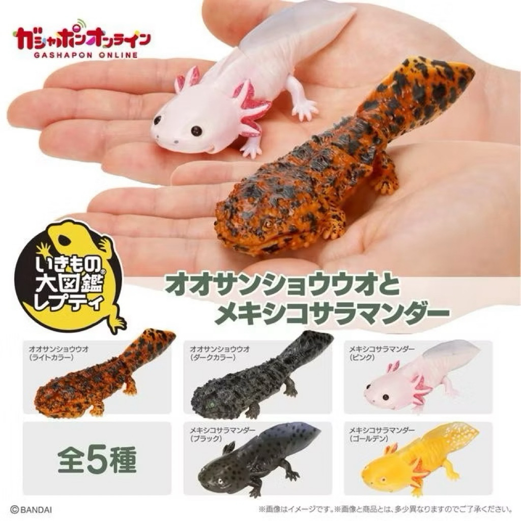 IKIMONO Repti Giant Salamander axolotl figure bandai gashapon figure - Dark