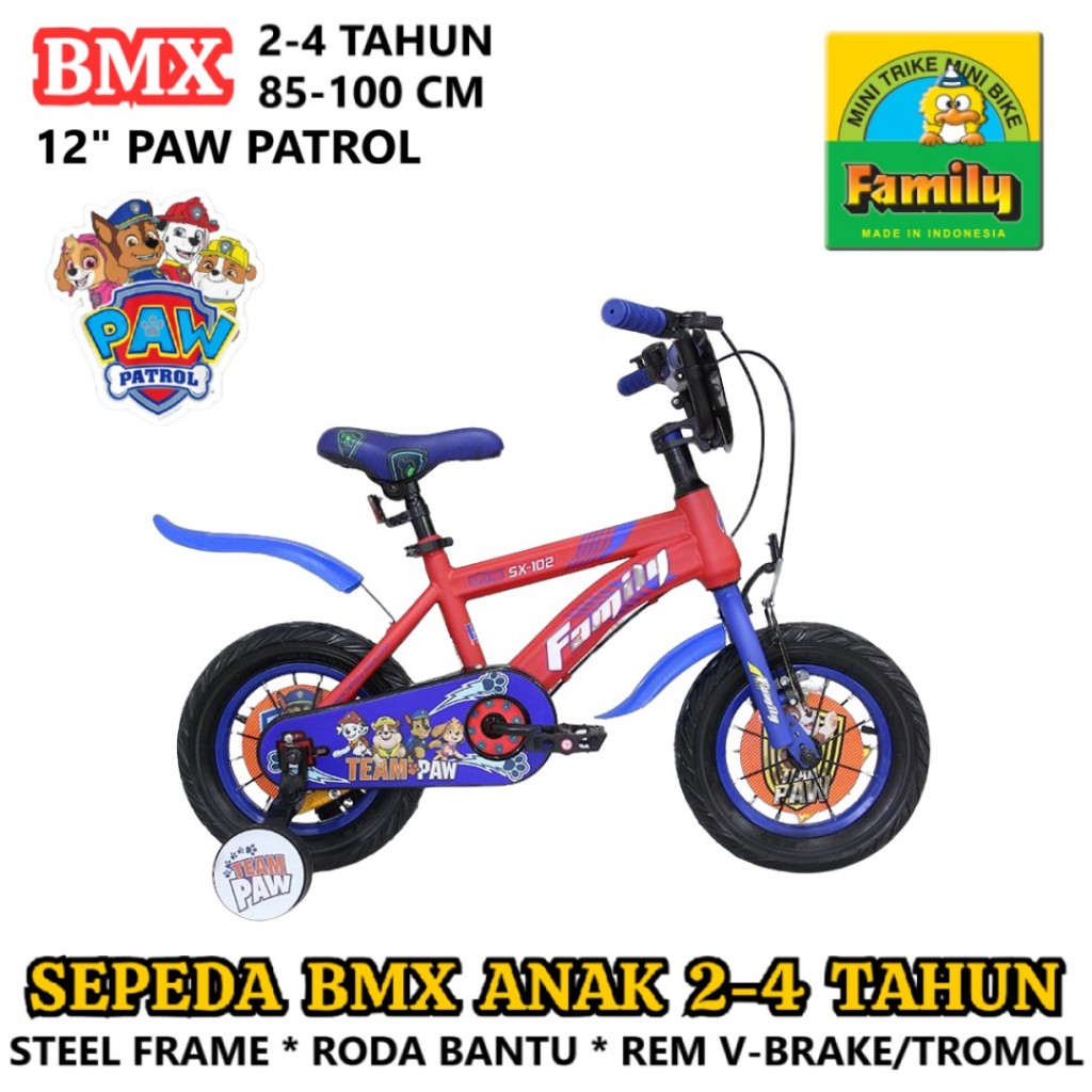 Family Paw Patrol BMX Sepeda Anak 12 16 Inch Rangka Steel Roda Bantu Tutup Pengaman Rantai 2-7 Tahun
