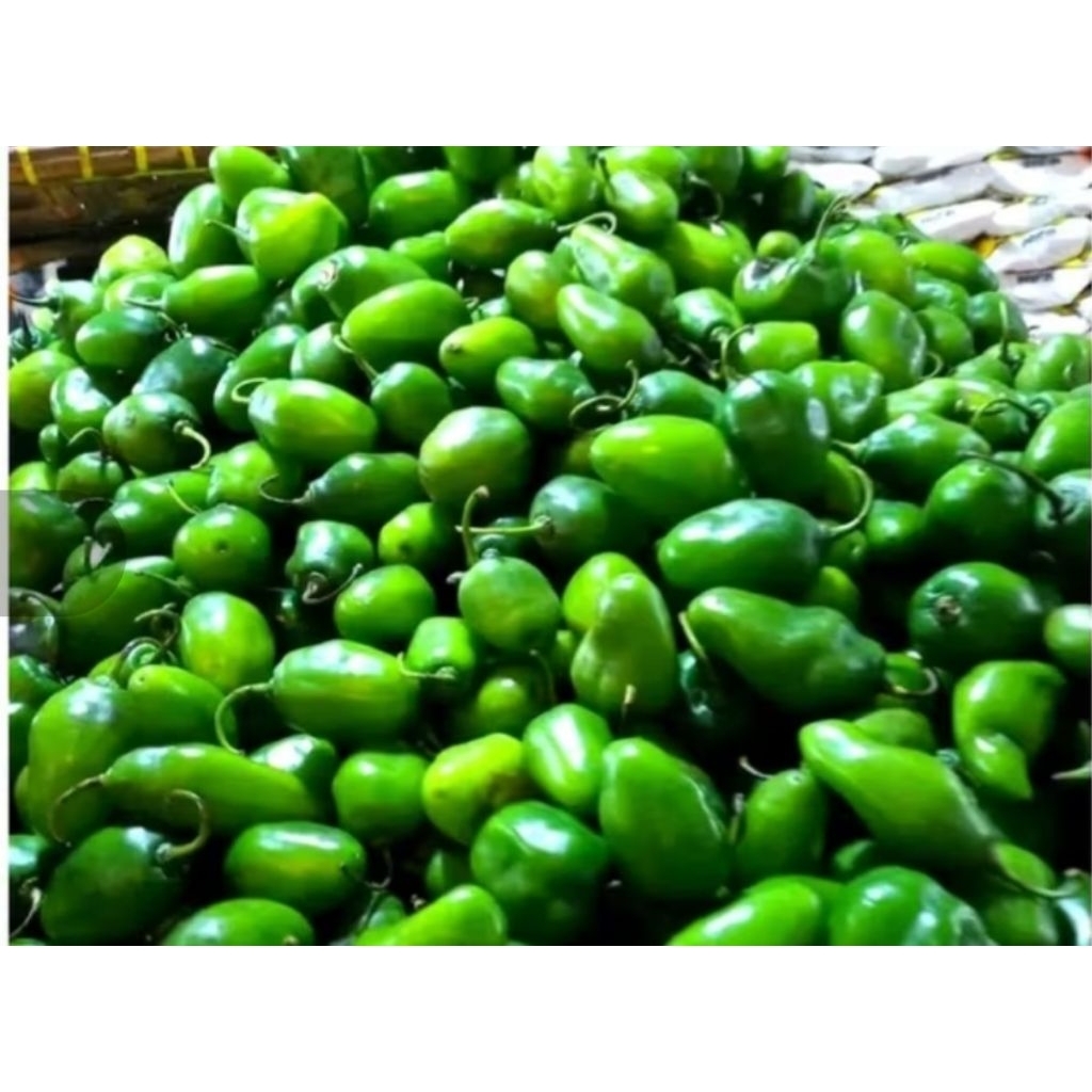 cabe gendot 100 gram