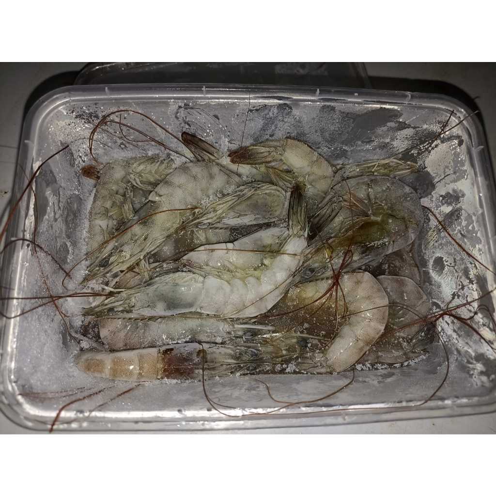UDANG VANAME FROZEN SIZE 100-80 (500gr)