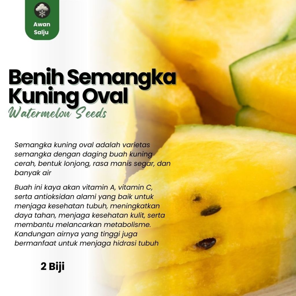 Benih Buah Semangka Kuning Lonjong Bibit Buah Semangka Kuning Oval Benih Buah-buahan Berkualitas