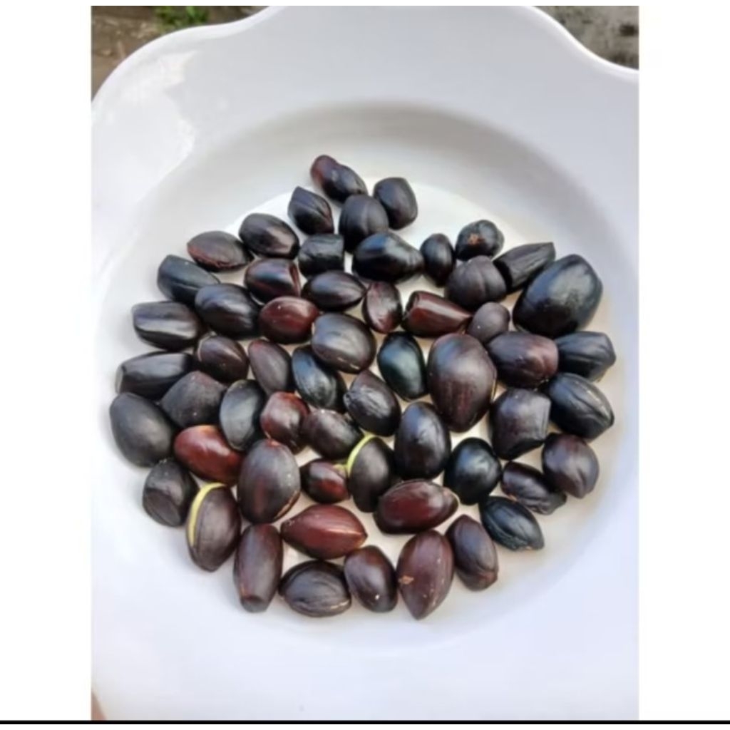 kabau,jolang,jaling,lalapan