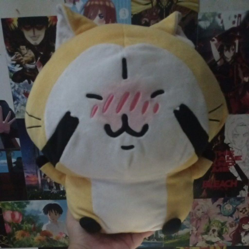 Official Plush Nagano no Yurukawa Rascal/ Boneka Raskal ORIGINAL